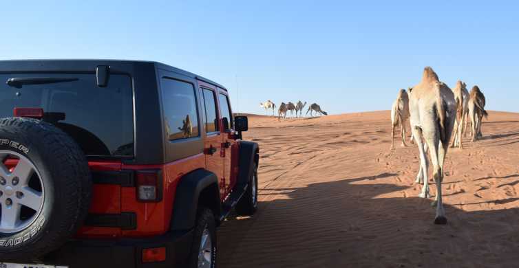 Arabian Desert Safari Dubai